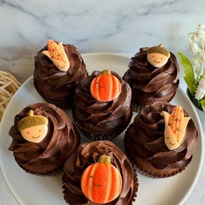 AUTUMN FRIENDS Sortiment - Kürbis, Eichel & Mais Zucker Dekorationen - 12 Stück Cupcake oder Kuchen Dekorationen für Herbst Thanksgiving