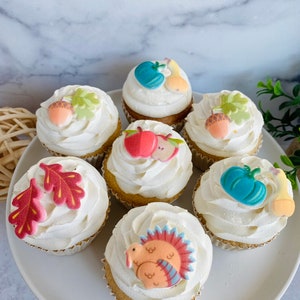 THANKSGIVING HARVEST FALL Sortiment Essbare Zuckerdekorationen Cupcake oder Kuchen Topper - 12 Stück für Herbst oder Thanksgiving Party