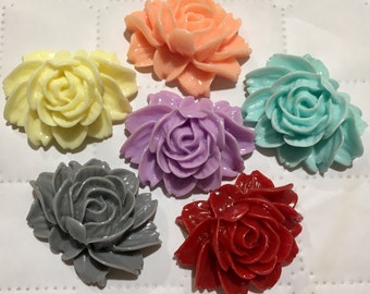 May include: Six resin rose cabochons in various colors, including peach, yellow, lavender, turquoise, gray, and red.