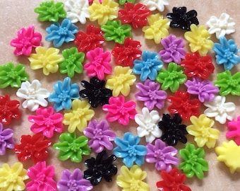 Ship from USA ,,,32 pcs Mixed Resin Cabochon Flowers...14 mm  cabochon , 11 mm flower.Great for  bobby pin blank , ring, Earring ,pendant