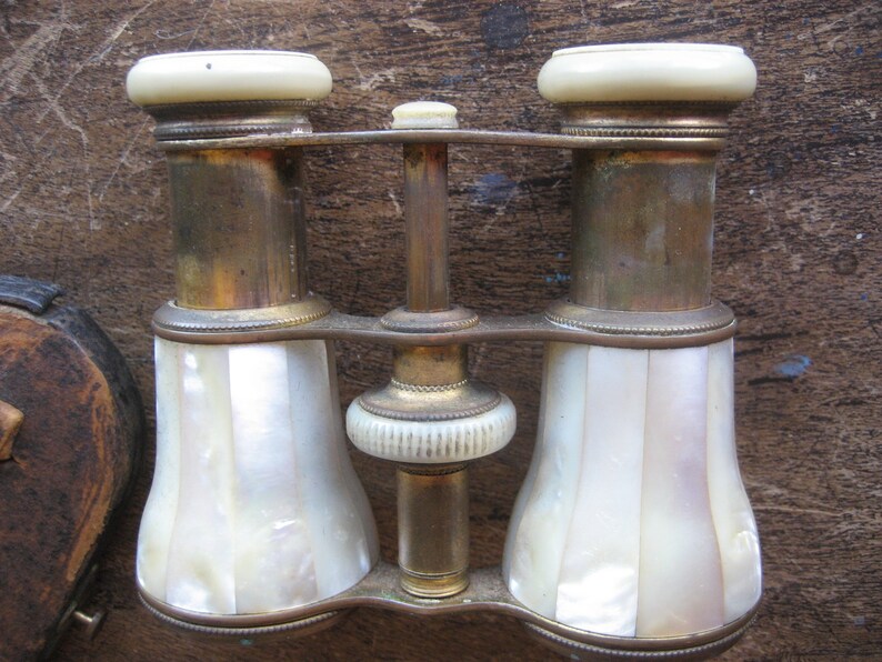 made in Paris Vintage in Dark Brown Leather Case SALE Mother of Pearl Opera Glasses Colmont Ft