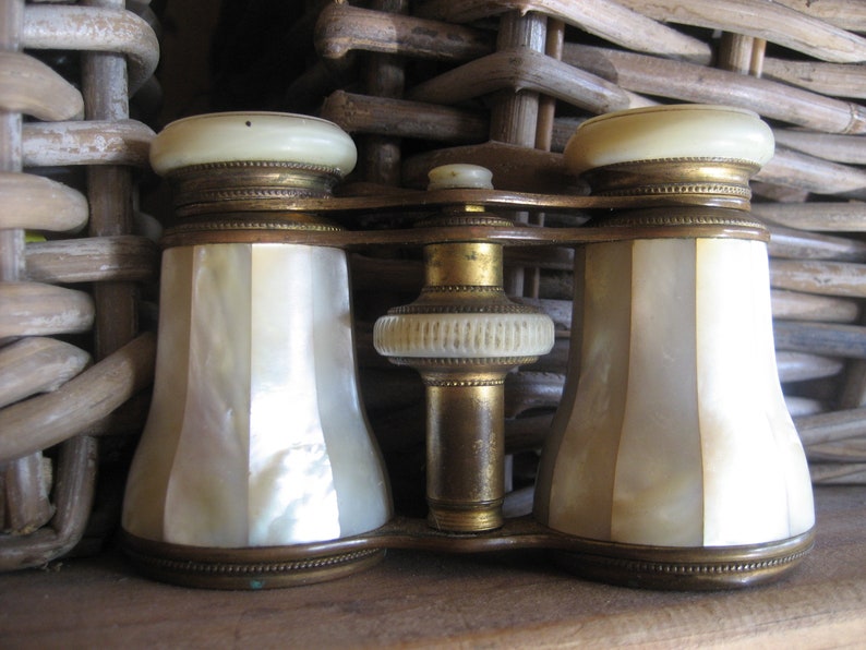 made in Paris Vintage in Dark Brown Leather Case SALE Mother of Pearl Opera Glasses Colmont Ft
