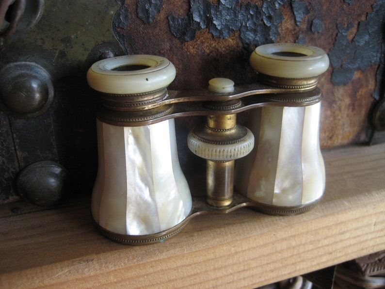 made in Paris Vintage in Dark Brown Leather Case SALE Mother of Pearl Opera Glasses Colmont Ft