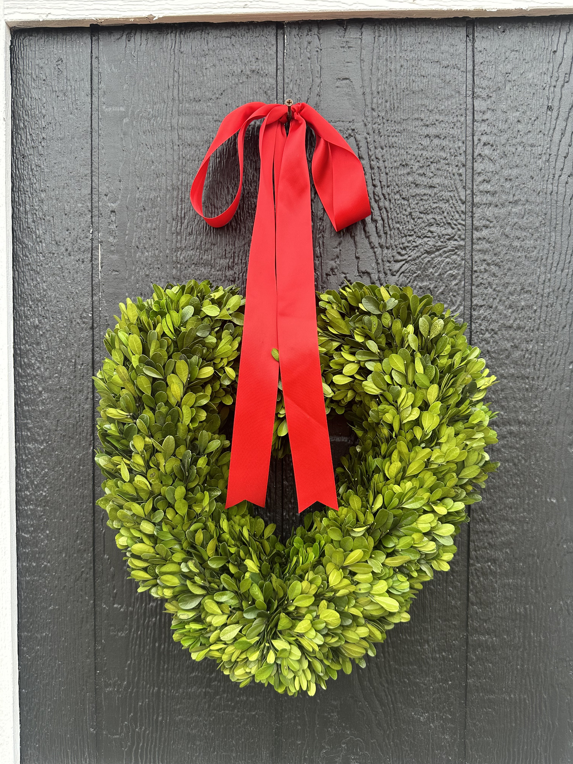 CHOOSE 6″, 8″ OR 10″ Small Mini Heart Shaped Preserved Boxwood