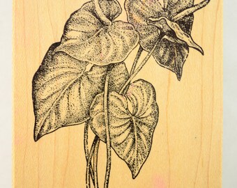 House Plant 783-A302 Stencil