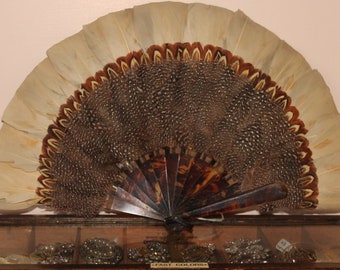 Victorian beige & brown feather fan, antique mottled feather and tortoiseshell hand fan,  vintage unusual small feather folding hand fan.