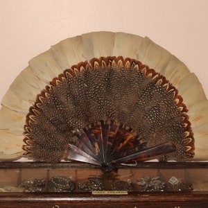 Victorian beige & brown feather fan, antique mottled feather and tortoiseshell hand fan,  vintage unusual small feather folding hand fan.