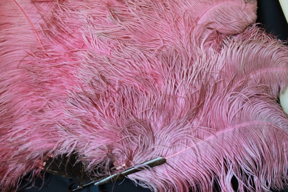 Large Raspberry pink ostrich feather fan, antique… - image 4