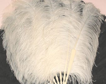 Edwardianischer Federfächer, Rinderknochen, Vintage-Hochzeit, Burlesque-Kostüm