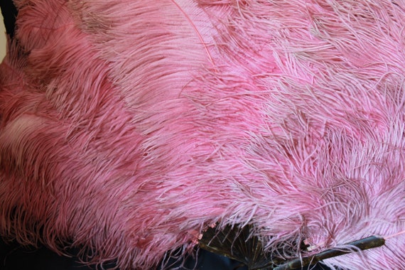 Large Raspberry pink ostrich feather fan, antique… - image 5