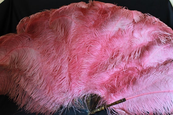 Large Raspberry pink ostrich feather fan, antique… - image 7