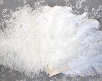 Edwardianischer Creme Federfächer, antiker Zelluloid Griff, Brautstrauß