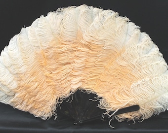 Edwardiansk persikafjäderfläkt: Sköldpaddshandtag, Vintage Boudoirdekor