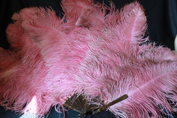 Large Raspberry pink ostrich feather fan, antique… - image 1