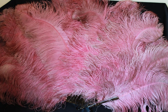 Large Raspberry pink ostrich feather fan, antique… - image 2
