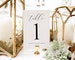 EDITABLE COLOR Luxury Wedding Table Numbers Template (4x6 & 5x7) | Printable Table Numbers | Splendid Script | Edit Online in Templett - PDF 