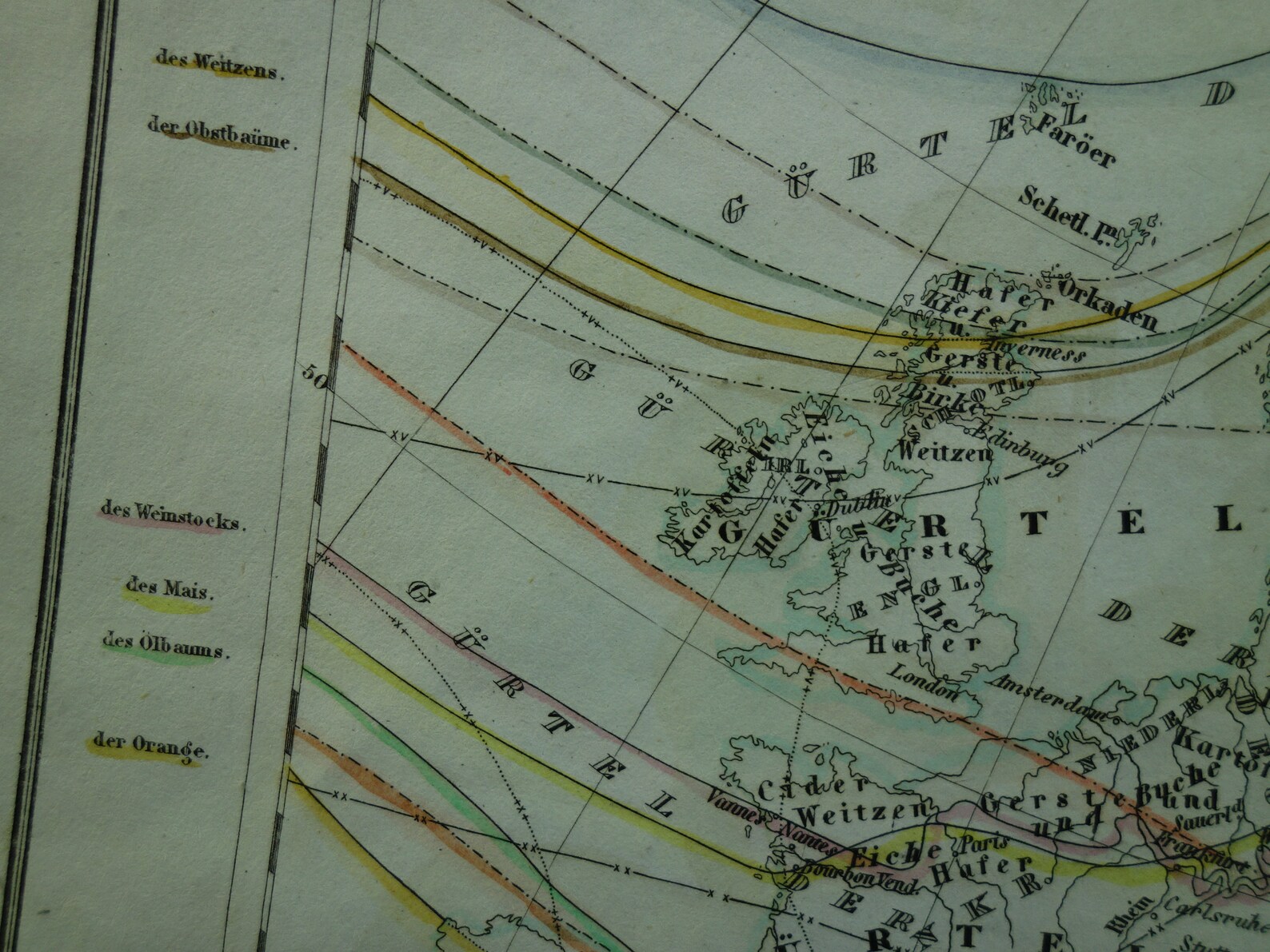 EUROPE Map of Agriculture 1850 Old Antique Print About Crops | Etsy