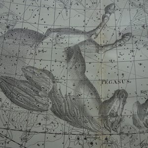 May include: An antique map illustration of the Pegasus constellation, featuring a detailed drawing of the mythical winged horse. The map is in black and white, with grid lines and star positions marked.