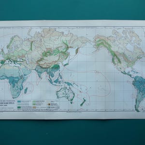 BOTANICAL WORLD map 1909 original old phytogeography print about plant geography antique botany worldmap vintage maps