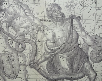 Old astronomy print of Aquila Eagle Ophiuchus Taurus Snake Serpent sign constellation antique star map astrology original vintage prints