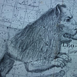Segno zodiacale LEONE CANCRO, stampa d'epoca, illustrazione astrologica olandese del 1898 - Carta stellare dei segni zodiacali Leone Cancro - Stampe astronomiche d'epoca, regalo