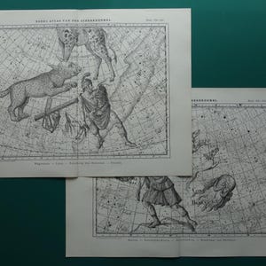 Vintage Astronomie Druck 2er Set 2 Vintage Sternenkarten Drucke Original Auriga Hunde Lynx Bootes Sternbild Astrologie Poster