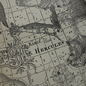 Ancienne carte du ciel hollandaise vintage carte d'astronomie de Cygne Cygnus Voie lactée Cerbère Ramus Hercule Vautour signe étoiles de la constellation de l'hémisphère