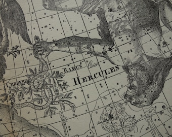 Old star chart Dutch vintage astronomy map of Swan Cygnus Milky Way Cerberus Ramus Hercules Vulture sign hemisphere constellation stars
