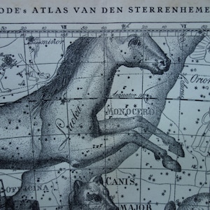 Impression ancienne astrologie - ancienne carte d'astronomie vintage hollandaise de la licorne, Argo, lapin, lépus, colombe, bookprinter, signe, constellations