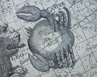 LEO CANCER sign antique print 1923 old Dutch astrology illustration Star Chart of Leo Cancer zodiac signs  Vintage Astronomy Prints Gift