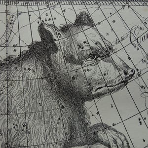 Ancienne carte du ciel néerlandaise d'astronomie vintage de la Grande Ourse, Grande Ourse, Grande Ourse, Lion, signe du zodiaque, constellation de l'hémisphère, étoiles astrologie