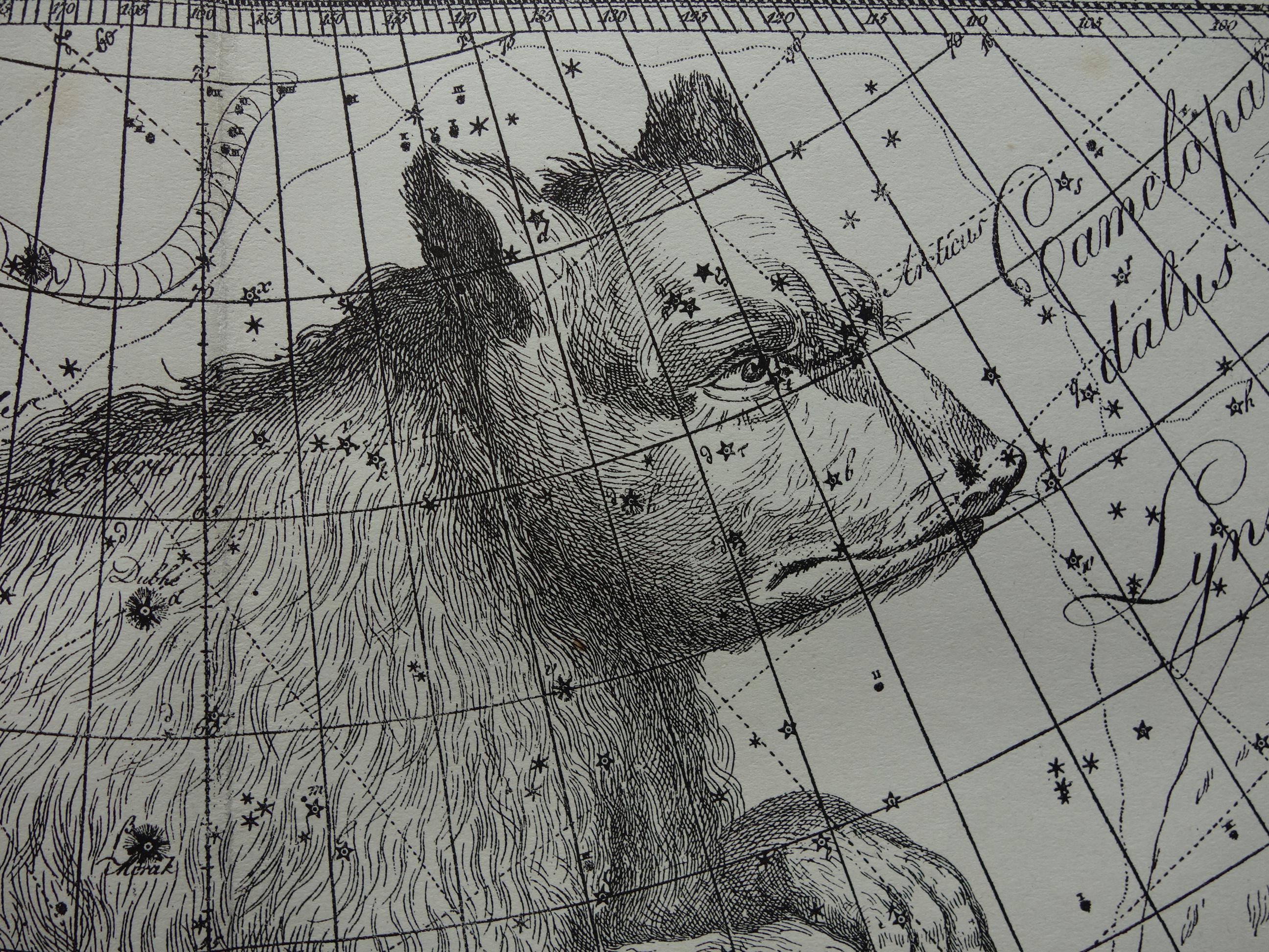 Old star chart Dutch vintage astronomy map of Great Bear Big Dipper Ursa major Leo zodiac sign hemisphere constellation stars astrology