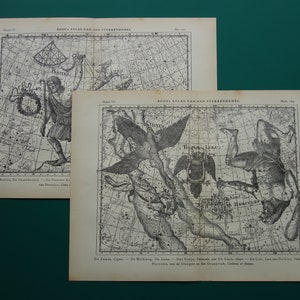Antiquité Impression d'astronomie, lot de deux 2 impressions de carte du ciel vintage, illustration originale d'affiche d'astrologie du signe de la constellation d'Hercule Bootes