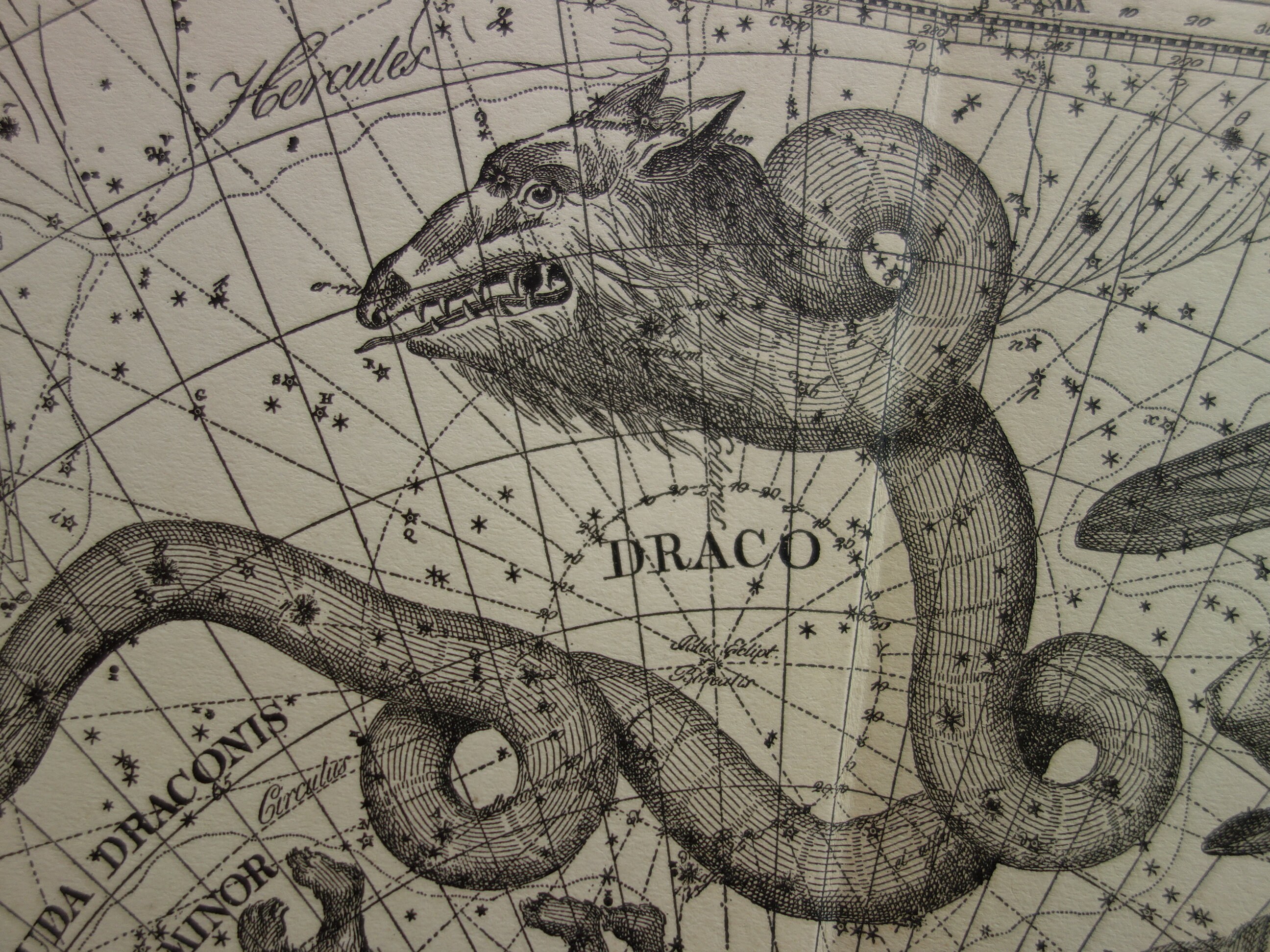 star chart astrology star chart astrology