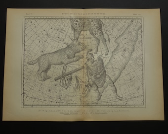 Old star chart Dutch vintage astrology map of Lynx Auriga Giraffe  Perseus Gemini sign hemisphere constellation stars zodiac astronomy print