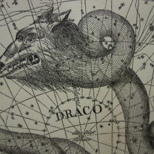 Ancienne carte du ciel astrologique néerlandaise vintage de Dragon Draco Céphée Renne signe constellation étoiles petit ours affiche ancienne impression zodiaque