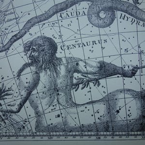 ASTRONOMIE Oude sterrenkaart Nederlandse vintage astronomie afdruk van Centaurus raaf kat teken sterrenbeeld sterren antieke astrologie poster bode dierenriem