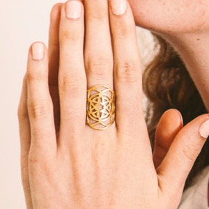 Puede incluir: Un anillo de oro con un dise&ntilde;o geom&eacute;trico. El anillo se lleva en el dedo &iacute;ndice de una mano.