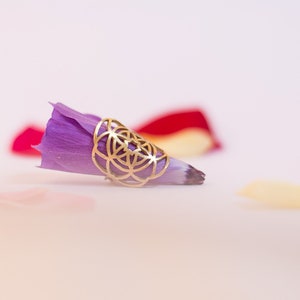 Puede incluir: Un anillo de oro con un dise&ntilde;o geom&eacute;trico se encuentra sobre un p&eacute;talo de flor morado. El p&eacute;talo est&aacute; sobre una superficie blanca con otros p&eacute;talos de flores en el fondo.