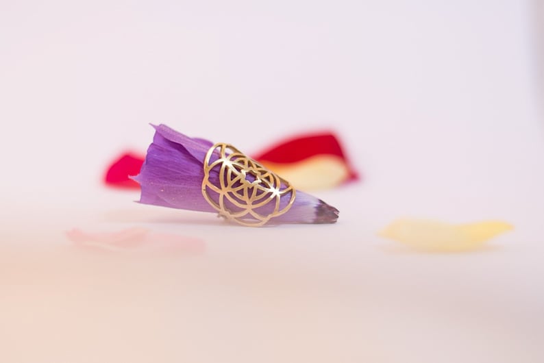 Puede incluir: Un anillo de oro con un dise&ntilde;o geom&eacute;trico se encuentra sobre un p&eacute;talo de flor morado. El p&eacute;talo est&aacute; sobre una superficie blanca con otros p&eacute;talos de flores en el fondo.