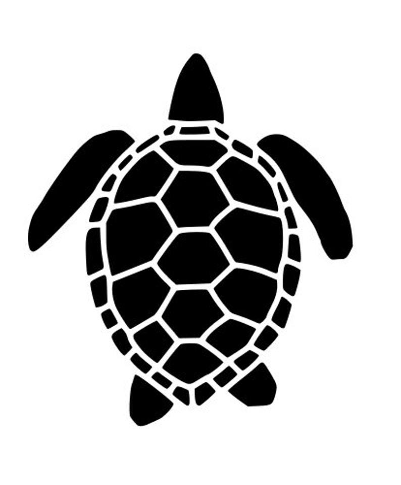 Download Sea Turtle svg Turtle svg digital download for cricut | Etsy