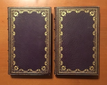 The Life Of Benvenuto Cellini 2 Volumes Rare 1906 Brentano's Decorative Leather Binding Illustrated Arts & Crafts Period Classic Literature