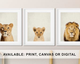 Lion Family Nursery Art: Safari Theme Decor, Set of 3