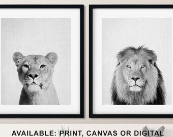 Black and white Lion and Lioness print, Lion Couple Art, Lion Canvas or Paper Print, African animal wall art, Safari animals, Animal photos