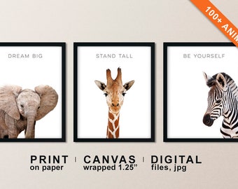 zoo animal nursery theme