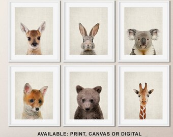 Baby Animal Prints: Nursery Decor, Set of 6 (Shipped)