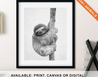 Sloth Wall Art Nursery, Baby Room Animal Theme, Black and White Animal Canvas, Monochrome Animals Baby Sloth, Animal Photo, Sloth Baby Gift
