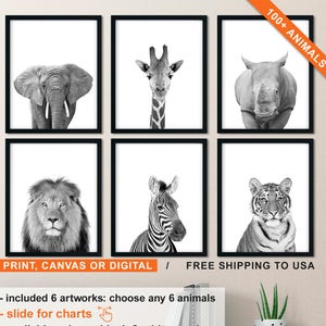 Black and White Animal Photography, Safari Animals, African Animal Wall Art Set Paper Print or Wrapped Canvas or Digital