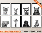 Animal Nursery Art Black and White Animal Prints for Nursery - Etsy