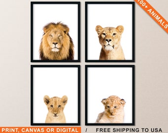 Lion Family Nursery Art Prints: Jungle Animal Decor (Set of 4)
